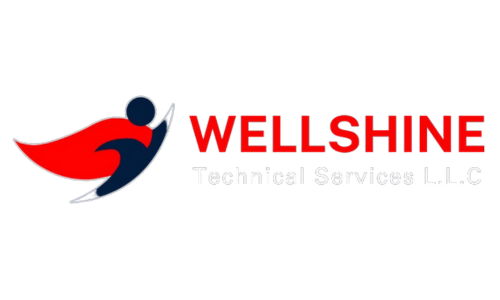 Wellshinetech Logo