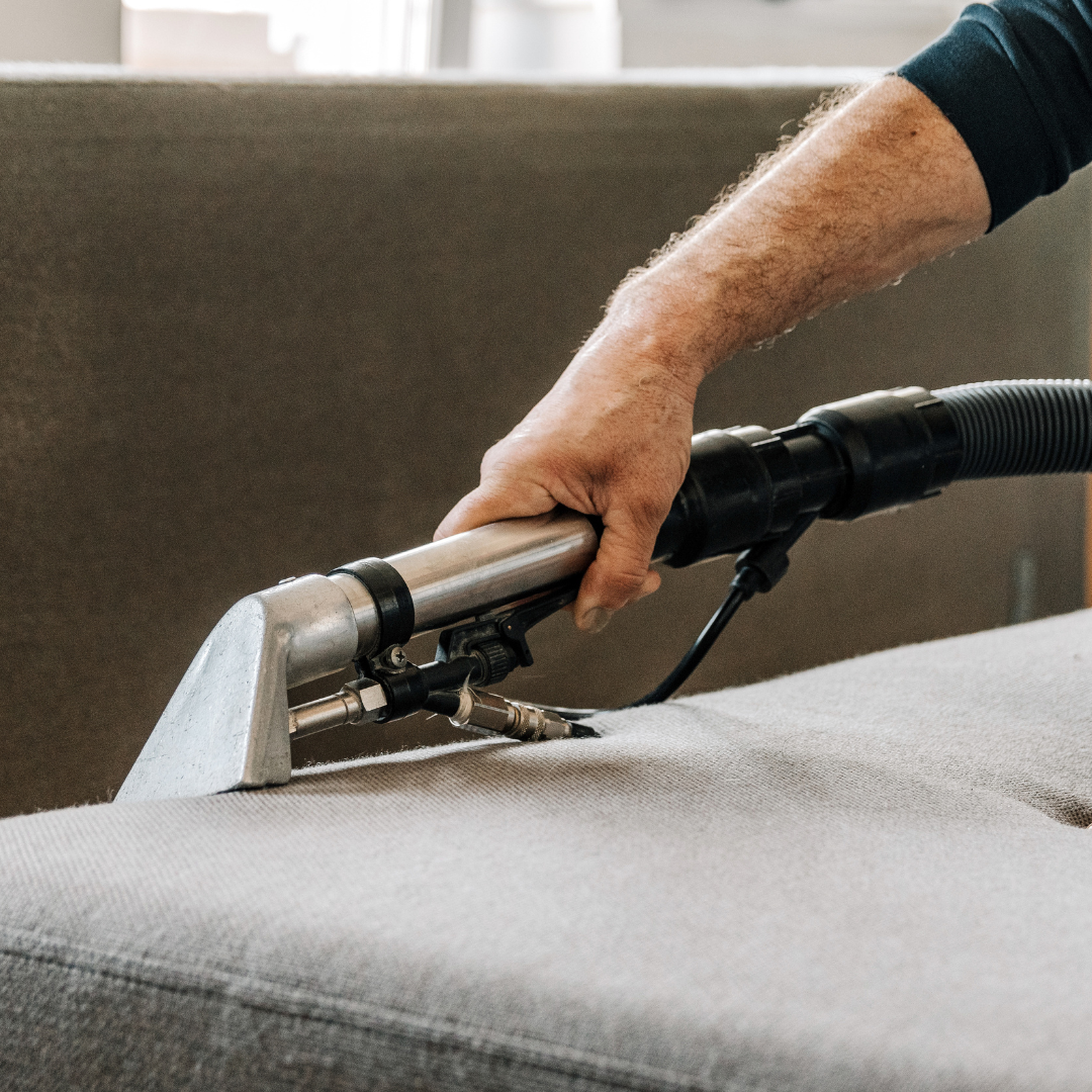 Deep Cleaning – professional carpet cleaning