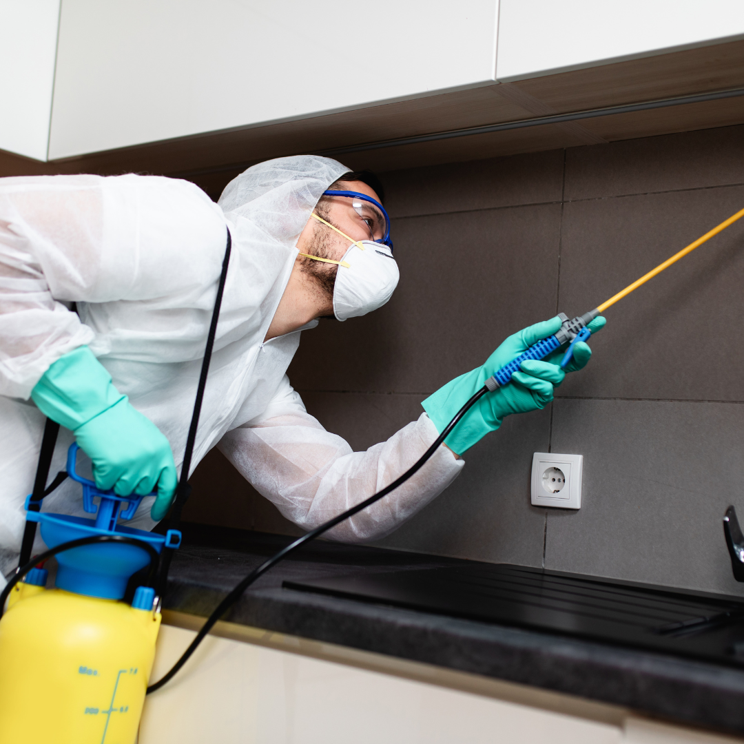 Stewarding Services – professional gloved hands cleaning